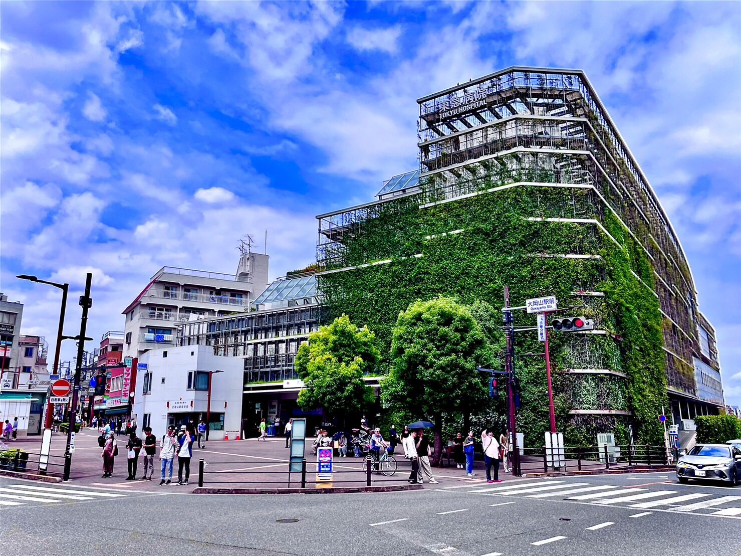 活動歴および当時の関連ビジュアル記録